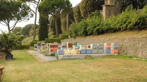 Bienenstöcke im Park der ehemaligen Papstresidenz Castelgandolfo