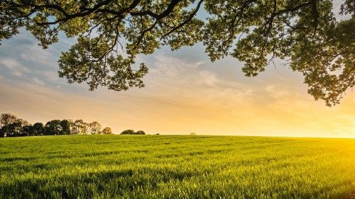 Mensaje de los obispos para la Jornada de Oración por el Cuidado de la Creación