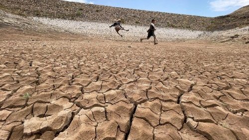 Il Papa: la distruzione dell’ambiente offesa contro Dio, lavorare a una cultura della vita