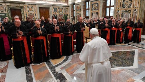 Il Papa nell'udienza ai partecipanti alla plenaria del Dicastero per la Dottrina della Fede