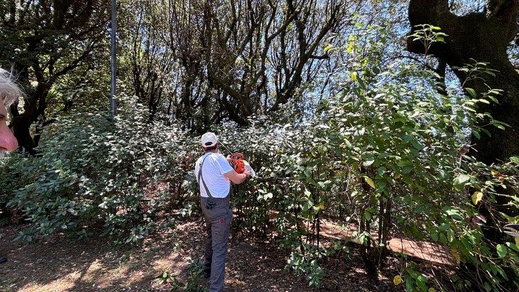 I 10 corsisti stanno imparando ad usare attrezzi e strumenti per la cura del verde